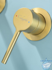 Смеситель для раковины встраиваемый Calypso CS1120-3 (матовое золото)