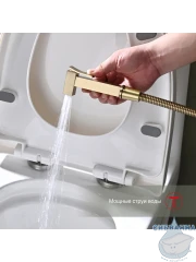 Смеситель Raglo R01.51.03 с гигиеническим душем (сатин золотой)