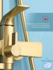 Душевая система Raglo 320 1 режим R07.24.03 (сатин золотой)