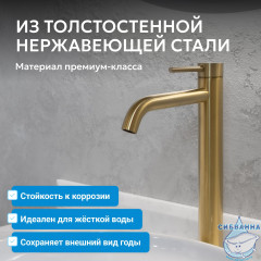 Смеситель ABBER Wasser Kreis 316 AF8111BG-L для накладной раковины, брашированное золото
