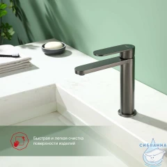 Смеситель для раковины Raglo R10.10.09 (графит)