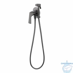Встраиваемый смеситель с гигиеническим душем Raglo R07.52.09 (графит)
