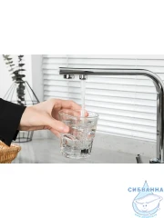 Смеситель кухни Frap F4360 (хром)