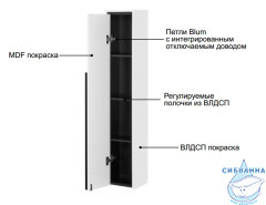 Пенал Roca Aneto L 23 (1 дверка) белый глянец/черный 857431806