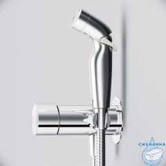 Встраиваемый смеситель с гигиеническим душем AM.PM X-Joy F0H85A500 . (хром)