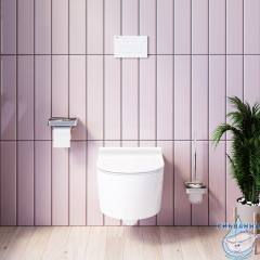 Унитаз подвесной безободковый Damixa Jupiter с сиденьем Soft Close (микролифт) DX77C1700SC