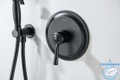 Встраиваемый смеситель для душа Aquatek Классик AQ1566MB (1 режим) (черный матовый)