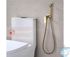 Встраиваемый смеситель Raglo R03.52.03 с гигиеническим душем (сатин золотой)