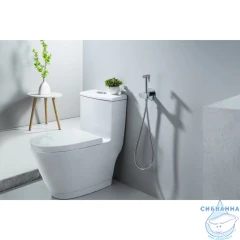 Смеситель с гигиеническим душем Aquatek Оберон AQ1024CR (хром)