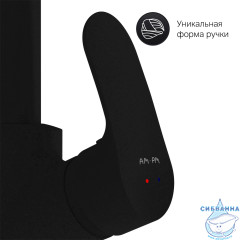 Смеситель для кухни AM.PM Like F8005022 (черный матовый)