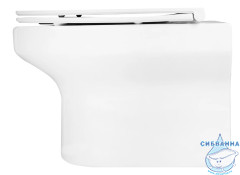 Унитаз подвесной безободковый Jacob Delafon Elite EDX114RU-00 с сиденьем Soft Close (микролифт)