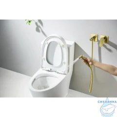 Смеситель с гигиеническим душем Aquatek Оберон AQ1220BG (золото шлифованное)