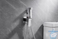 Встраиваемый смеситель с гигиеническим душем Allen Brau Infinity 265443 (хром)