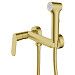 Смеситель с гигиеническим душем Azario Alanti AZ-K2532MG (золото матовое)