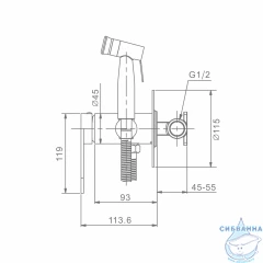 Встраиваемый смеситель с гигиеническим душем Raglo R10.52.03 (сатин золотой)