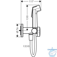 Встраиваемый смеситель с гигиеническим душем Hansgrohe Bidetta 29232000 (хром)