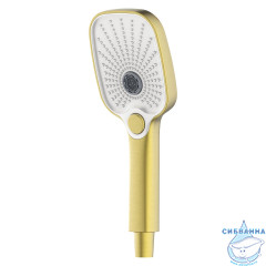 Смеситель для ванны Azario Conda AZ-K3011MG (золото матовое)