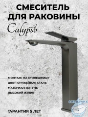Смеситель для раковины Calypso CS12252-9 (оружейная сталь)