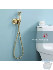 Встраиваемый смеситель Raglo  R20.52.03  с гигиеническим душем (сатин золотой)