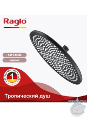 Верхний душ Raglo 250 R451.50.06 (черный матовый)