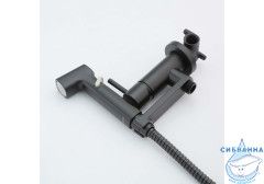 Встраиваемый смеситель с гигиеническим душем Aquatek Ника AQ1819MB (черный матовый )