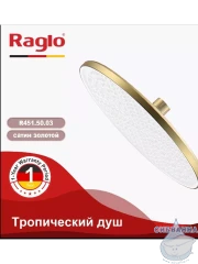 Верхний душ Raglo 250 R451.50.03 (сатин золотой)