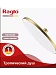 Верхний душ Raglo 250 R451.50.03 (сатин золотой)