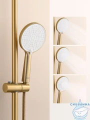 Душевая система Raglo 250 1 режим R20.24.03 (сатин золотой)