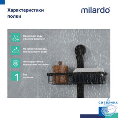 Двухъярусная прямая полка, проволока стальная, черный матовый, Easy, Milardo, EAS0WS2M44