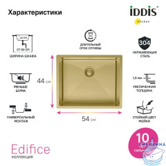 Мойка, нерж.сталь, универсального монтажа, матовое золото, 540*440,  Edifice, IDDIS, EDI54B0i77