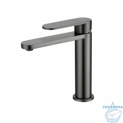 Смеситель для раковины Raglo R10.10.09 (графит)