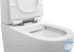 Унитаз напольный безободковый Aquanet Rimless Cetus 203342 (с сиденьем Soft Close (микролифт) ) без бачка