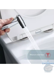 Встраиваемый смеситель Raglo  R20.52  с гигиеническим душем (хром)