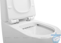 Унитаз напольный безободковый Aquanet Rimless Atago 203350 (с сиденьем Soft Close (микролифт) ) без бачка