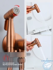 Встраиваемый смеситель с гигиеническим душем Raglo R20.54.33 (медь)