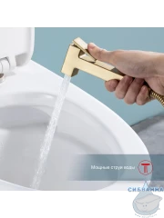 Встраиваемый смеситель с гигиеническим душем Raglo R51.55.03 (сатин золотой)