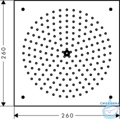 Верхний душ Hansgrohe Raindance 26472000
