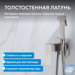 Смеситель ABBER Daheim AF8226SP с гигиеническим душем, сатин
