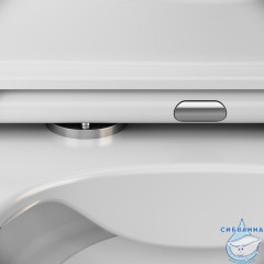 Унитаз подвесной AM.PM Func C8F1700SC с сиденьем Soft Close (микролифт)