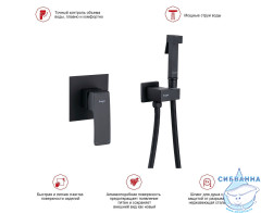 Встраиваемый смеситель Raglo R01.53.06 с гигиеническим душем (черный)