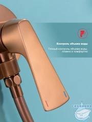 Встраиваемый смеситель с гигиеническим душем Raglo R07.52.33 (медь)