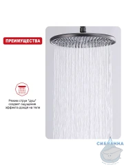 Верхний душ Raglo 250 R451.50.09 (графит)