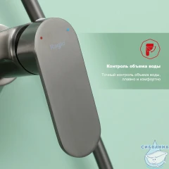 Душевая система Raglo 300 1 режим R10.24.09 (графит)