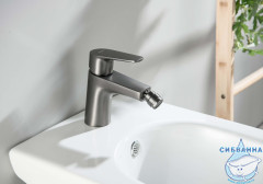Смеситель для биде Aquatek Бетта AQ1118BGM (оружейная сталь)