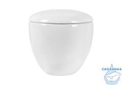 Унитаз подвесной безободковый Aquatek Альтаир AQ1980-00 с сиденьем Soft Close (микролифт)