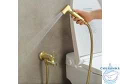 Встраиваемый смеситель с гигиеническим душем Aquatek Ника AQ1819BG (золото шлифованное)