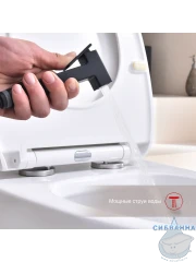 Смеситель с гигиеническим душем Raglo R51.51.06 (черный матовый)