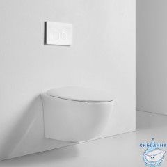 Унитаз подвесной безободковый Calypso CS207OK с сиденьем Soft Close (микролифт)