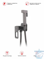 Встраиваемый смеситель с гигиеническим душем Raglo R51.52.09 (графит)