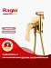Встраиваемый смеситель с гигиеническим душем Raglo R07.52.03 (сатин золотой)